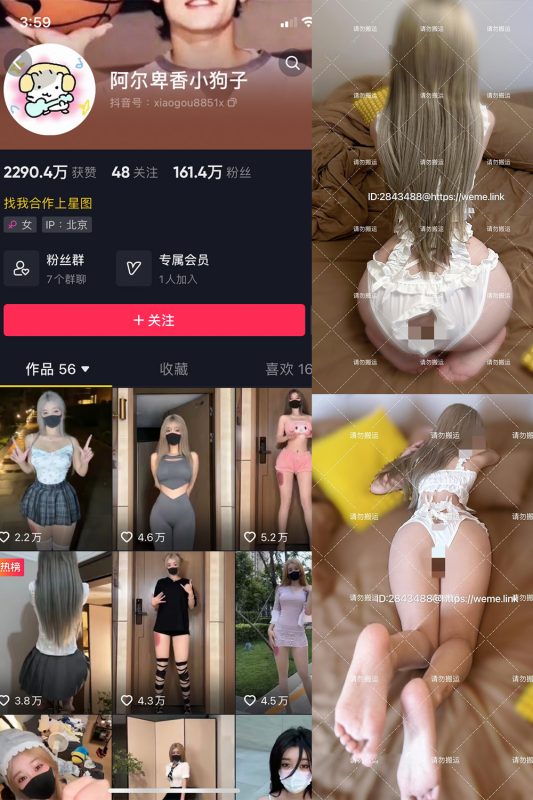 抖音 阿尔卑香小狗子 微密圈  NO.002期 【16P1V】-喵领域
