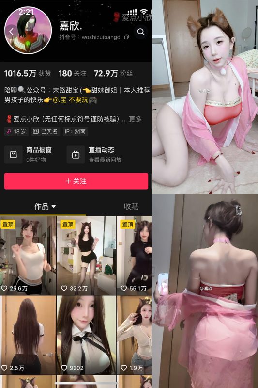 抖音 嘉欣 微密圈  NO.011 【17P4V】最新至：2025.5.12-喵领域