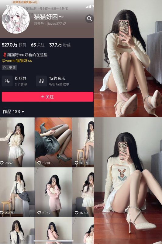 抖音 猫猫好困 微密圈  NO.010期 【23P】-喵领域