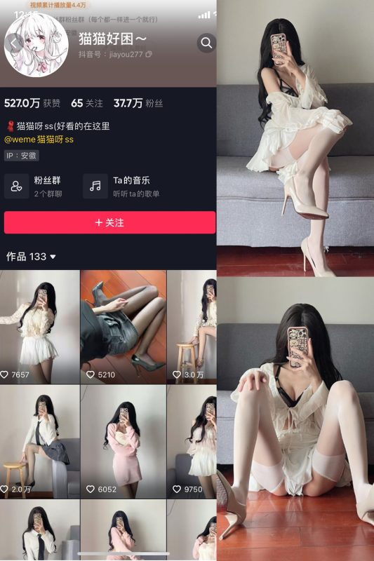抖音 猫猫好困 微密圈  NO.013期 【13P】-喵领域