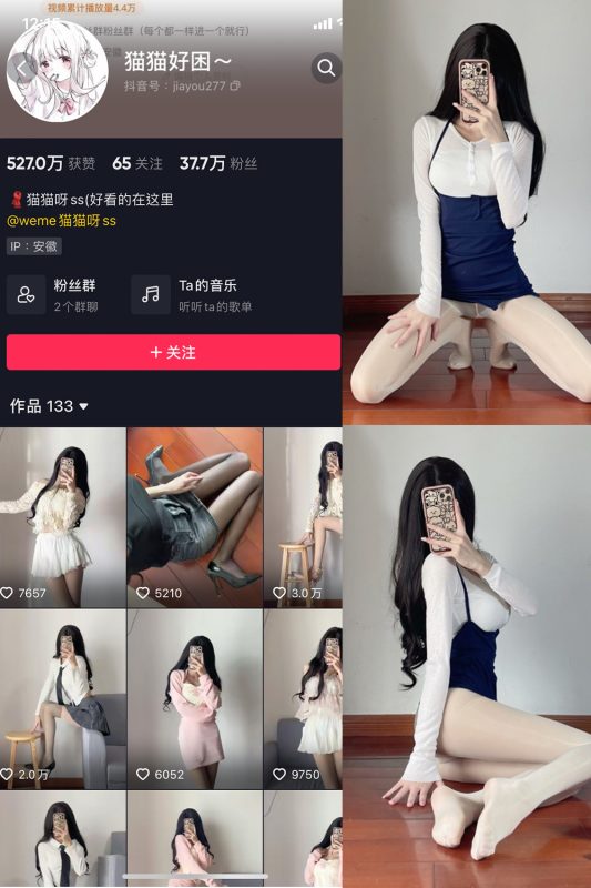 抖音 猫猫好困 微密圈  NO.016期 【19P】-喵领域
