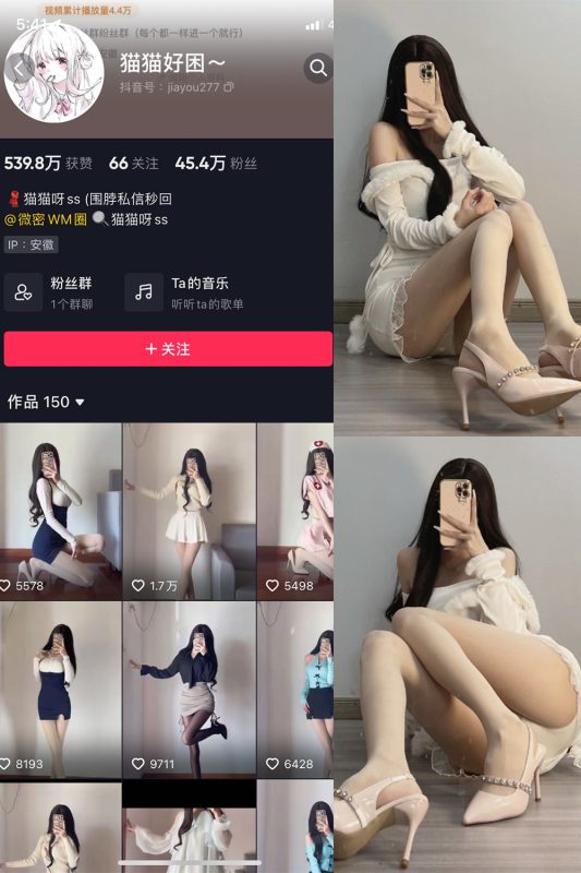 抖音 猫猫好困 微密圈  NO.030期 【81P】最新至：2024.4.29-喵领域
