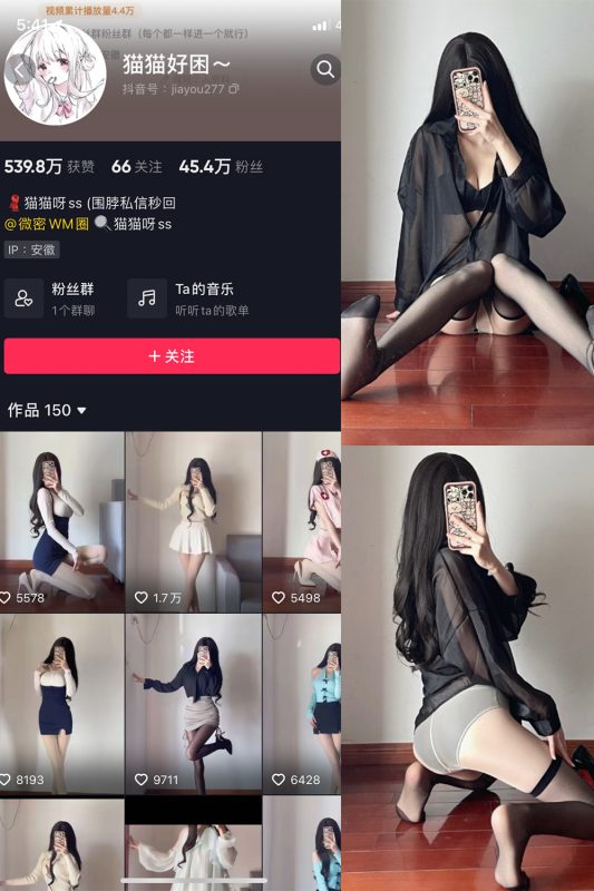 抖音 猫猫好困 微密圈  NO.031期 【22P】最新至：2024.6.2-喵领域