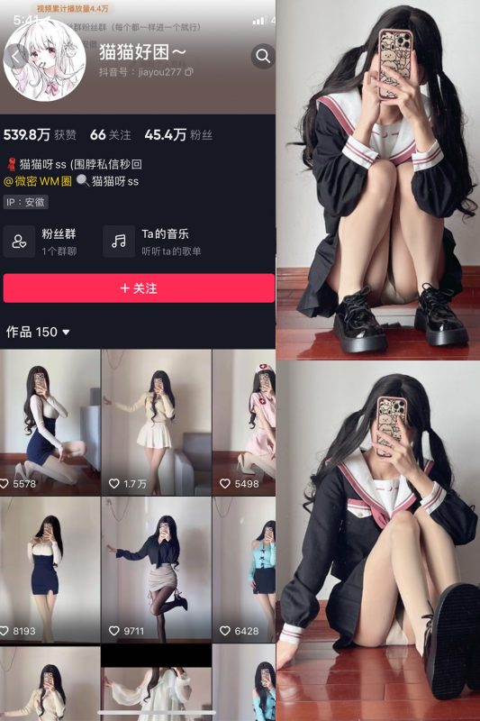 抖音 猫猫好困 微密圈  NO.032期 【25P】最新至：2024.8.29-喵领域