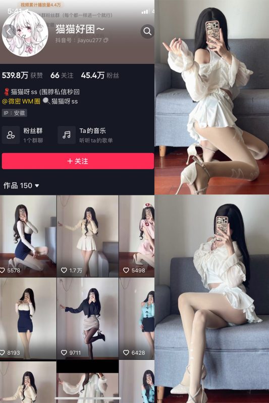 抖音 猫猫好困 微密圈  NO.020期 【20P】-喵领域