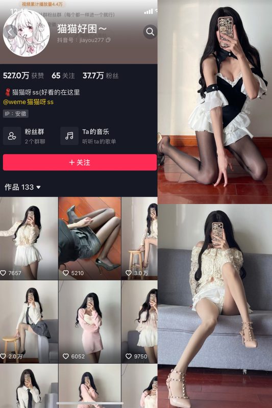 抖音 猫猫好困 微密圈  NO.005期 【53P】-喵领域