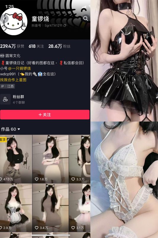 抖音 童锣烧 微密圈  NO.004期 【20P5V】-喵领域