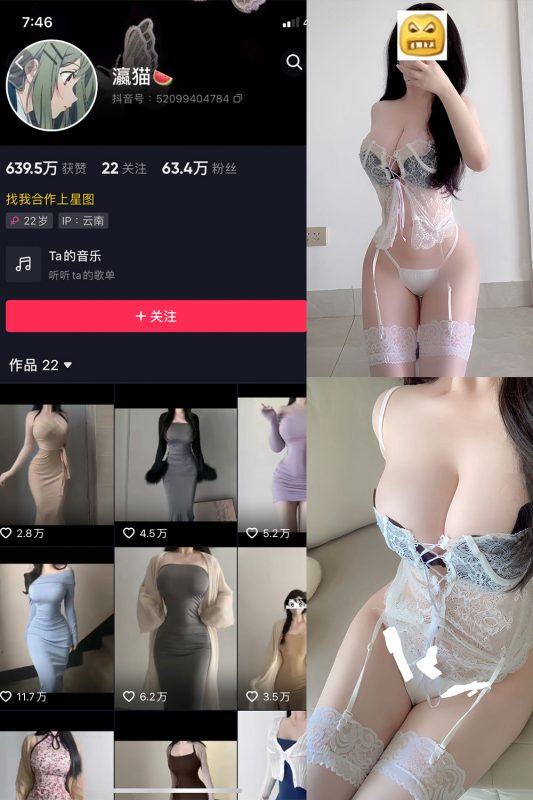 抖音 瀛猫 微密圈  NO.058期 【32P3V】最新至：2024.11.11-喵领域
