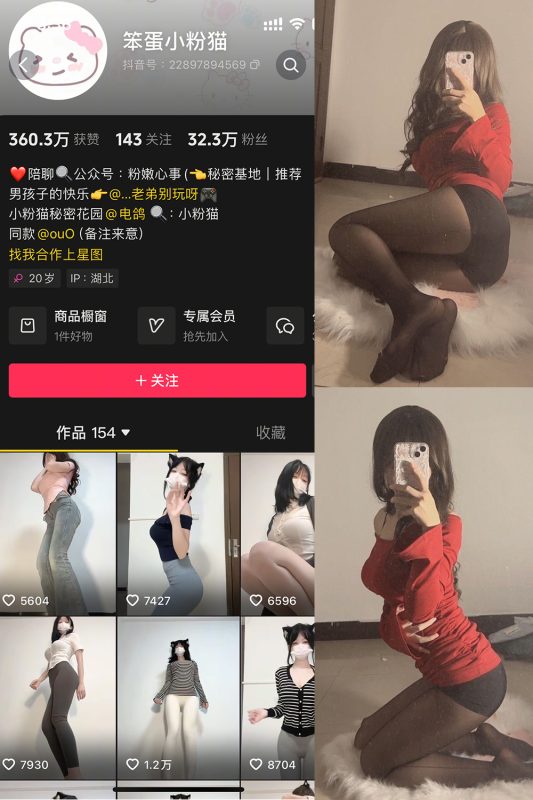 抖音 笨蛋小粉猫 微密圈  NO.002期 【14P7V】最新至：2025.3.12-喵领域